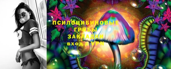 мяу мяу мука Абаза